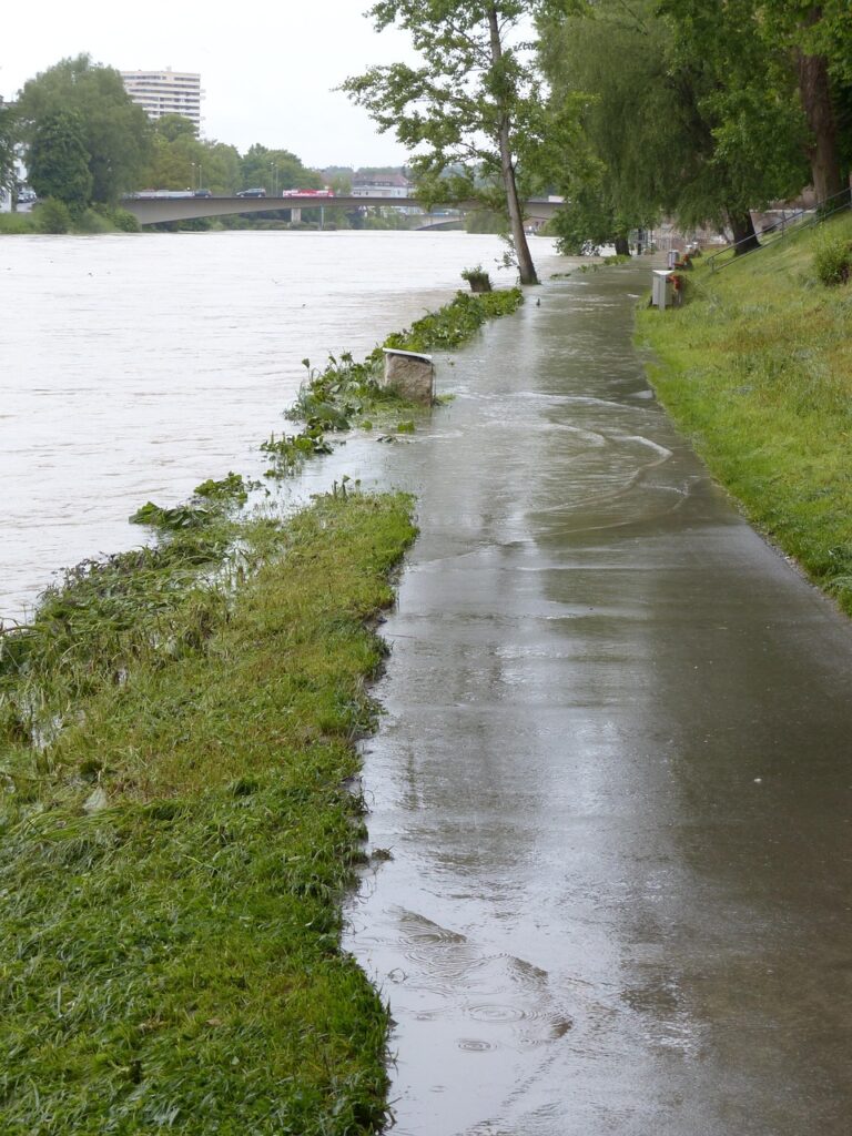 flood, danube, ulm, nature, rainy weather, cloudy, rain, wet, precipitation, flooding, water, water level, peak, flow, riverside, catastrophe, flood disaster, storm, force of nature, civil protection, flood of the century, climate change, city, houses, locality